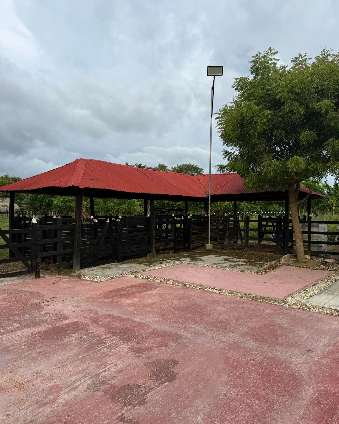Finca de 3,5 hectáreas en san pelayo