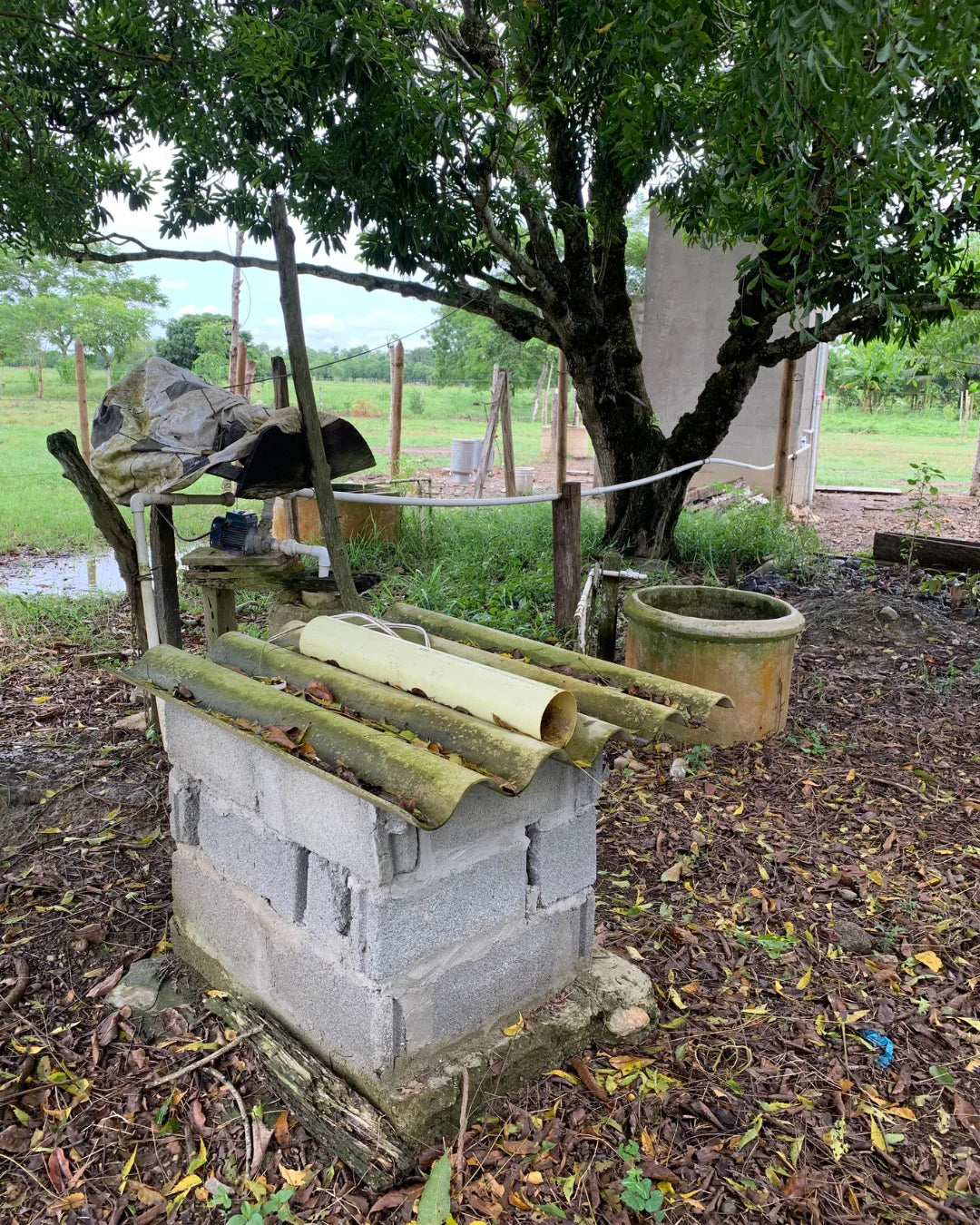 Finca de 6,5 hectáreas en cereté