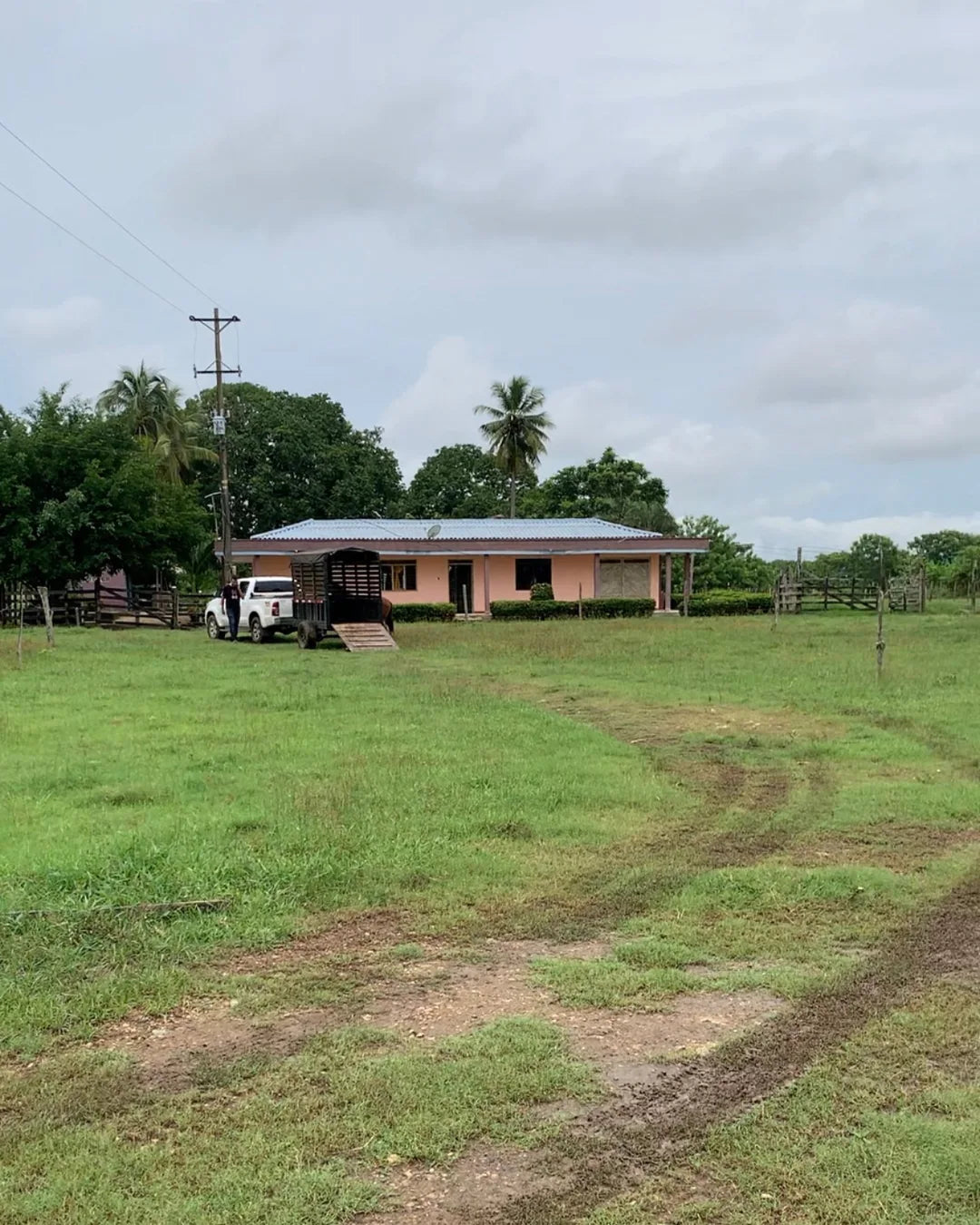 Finca de 6,5 hectáreas en cereté