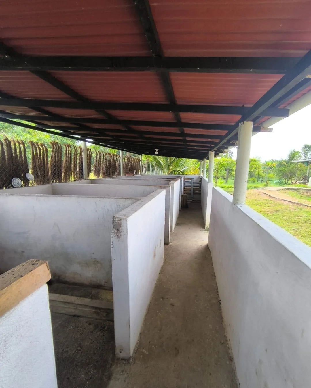 Casa finca de 7.000mts2 con pesebrera galpon marraneras rabo largo