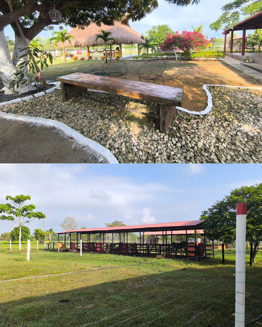 Casa finca de 7.000mts2 con pesebrera galpon marraneras rabo largo
