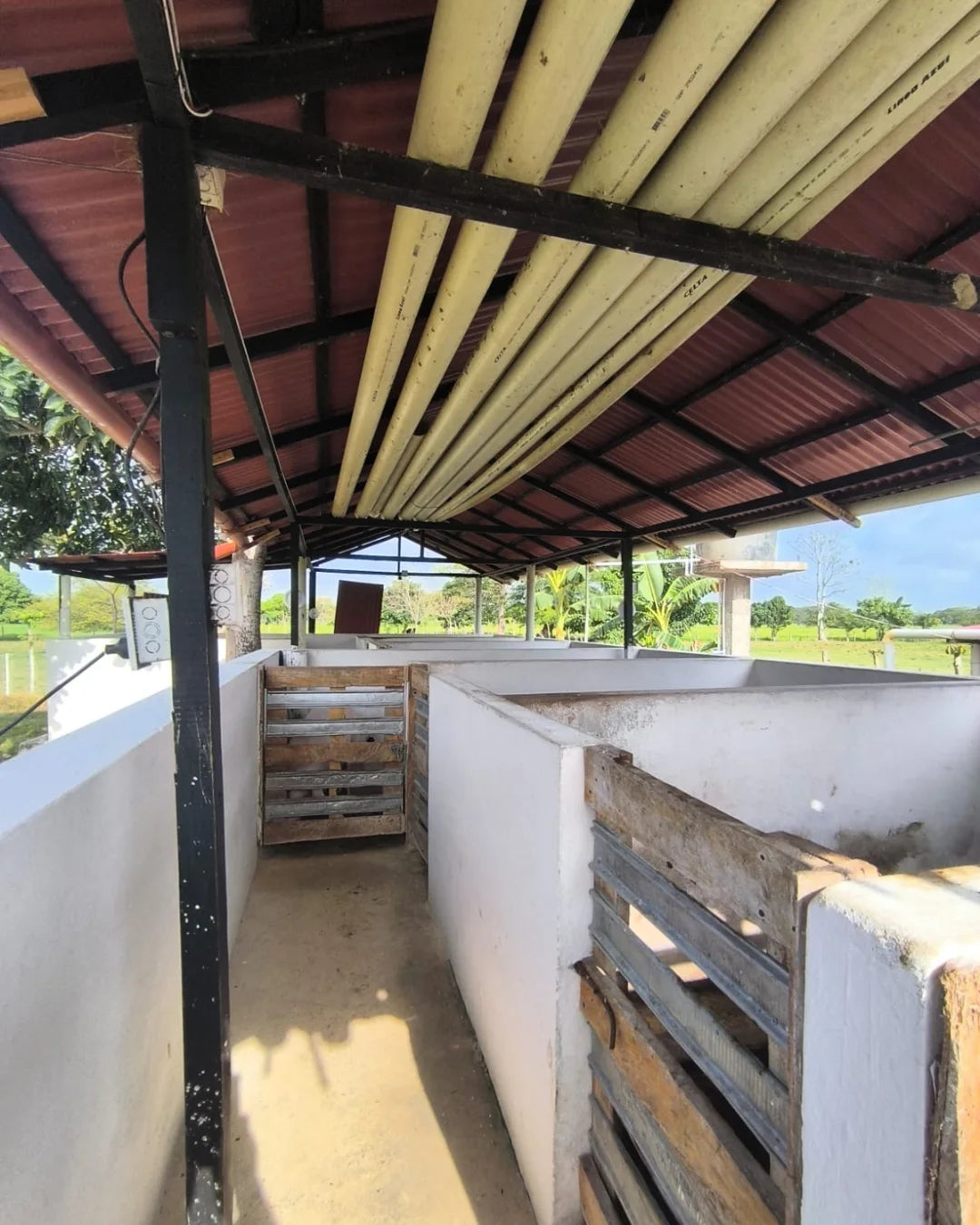 Casa finca de 7.000mts2 con pesebrera galpon marraneras rabo largo