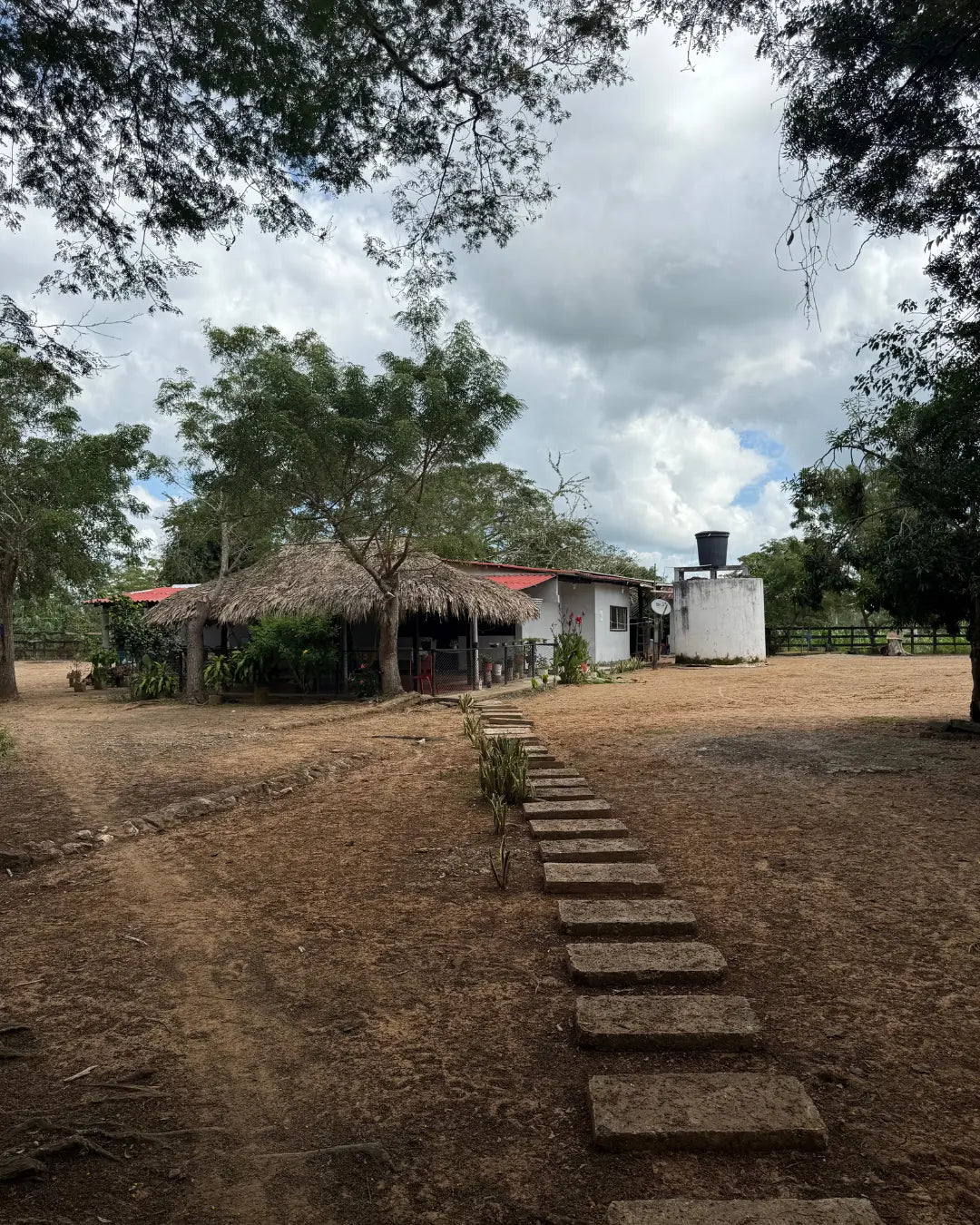 Finca cebadora de 250 hectáreas santa lucia-moñitos
