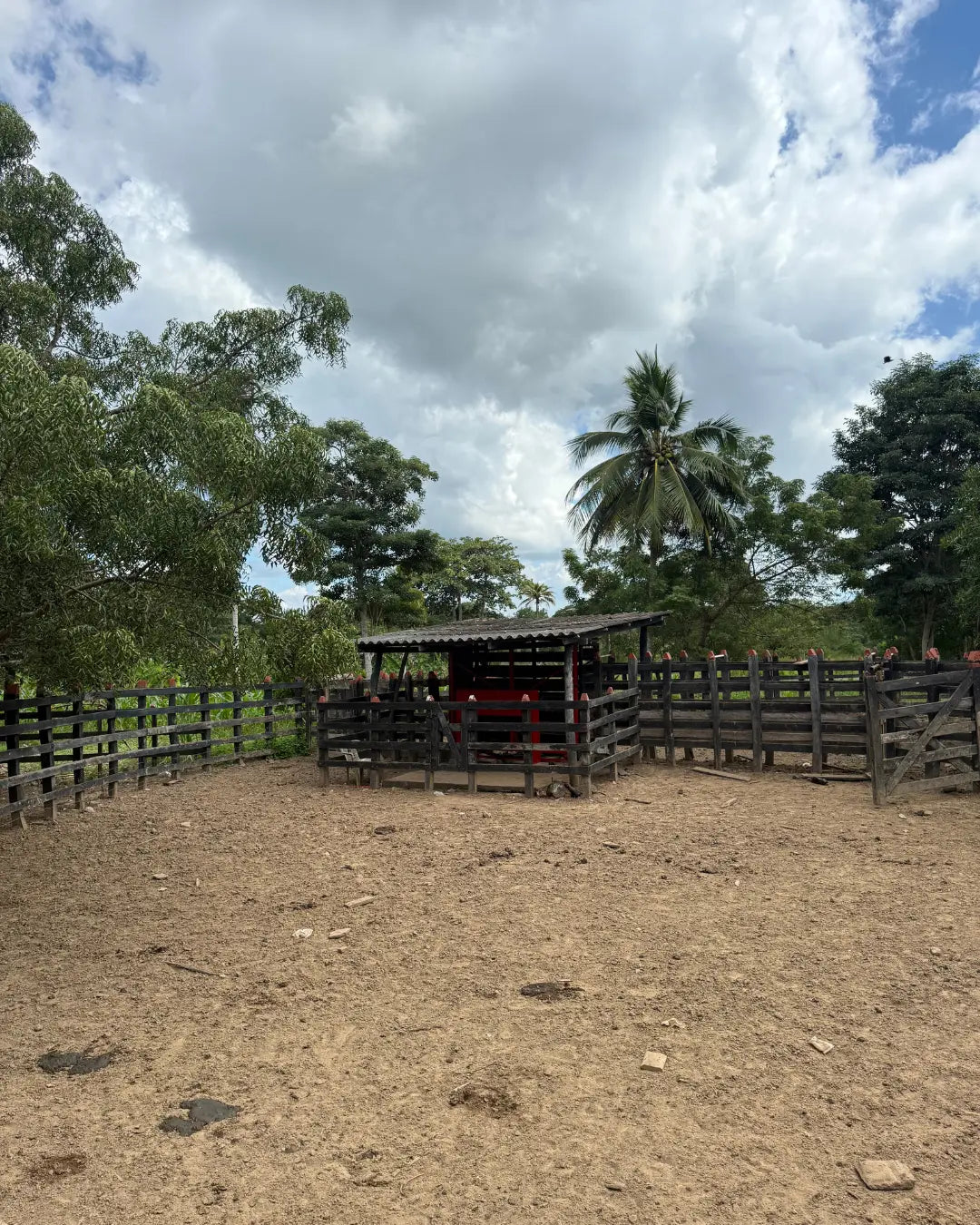 Finca cebadora de 250 hectáreas santa lucia-moñitos
