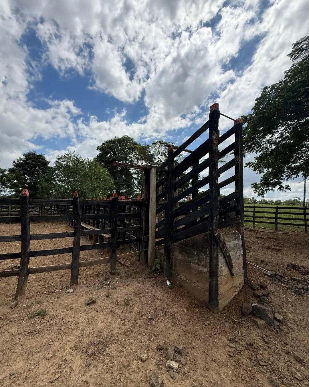 Finca cebadora de 250 hectáreas santa lucia-moñitos