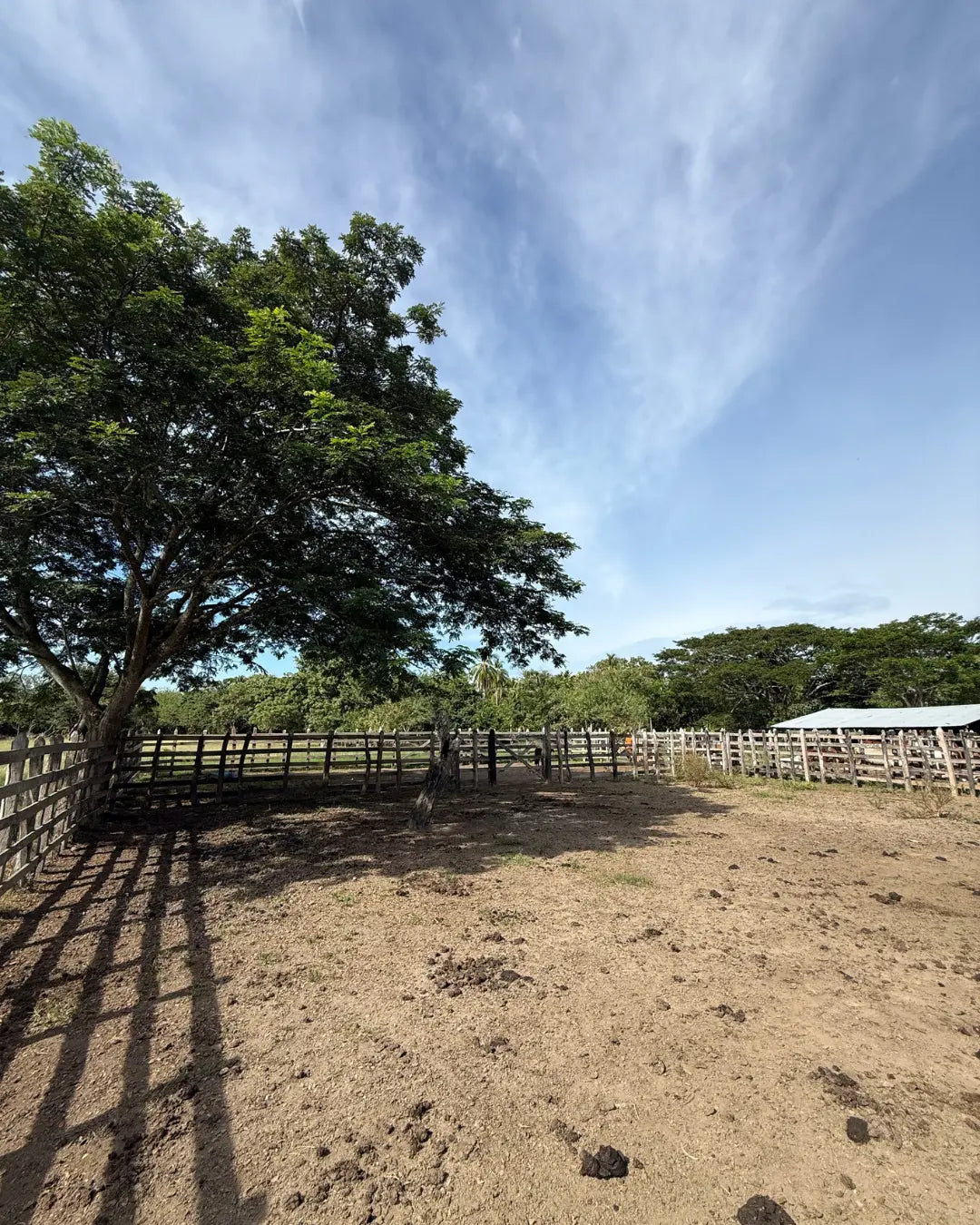 Finca de 168 hectareas en puerto escondido