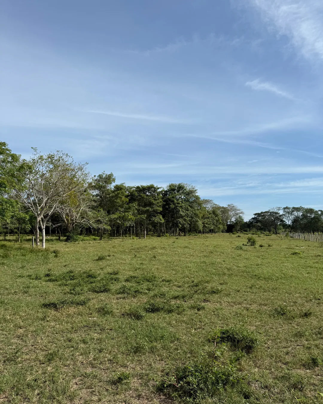 Finca de 168 hectareas en puerto escondido