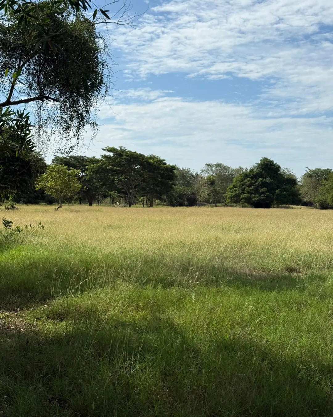 Finca de 168 hectareas en puerto escondido