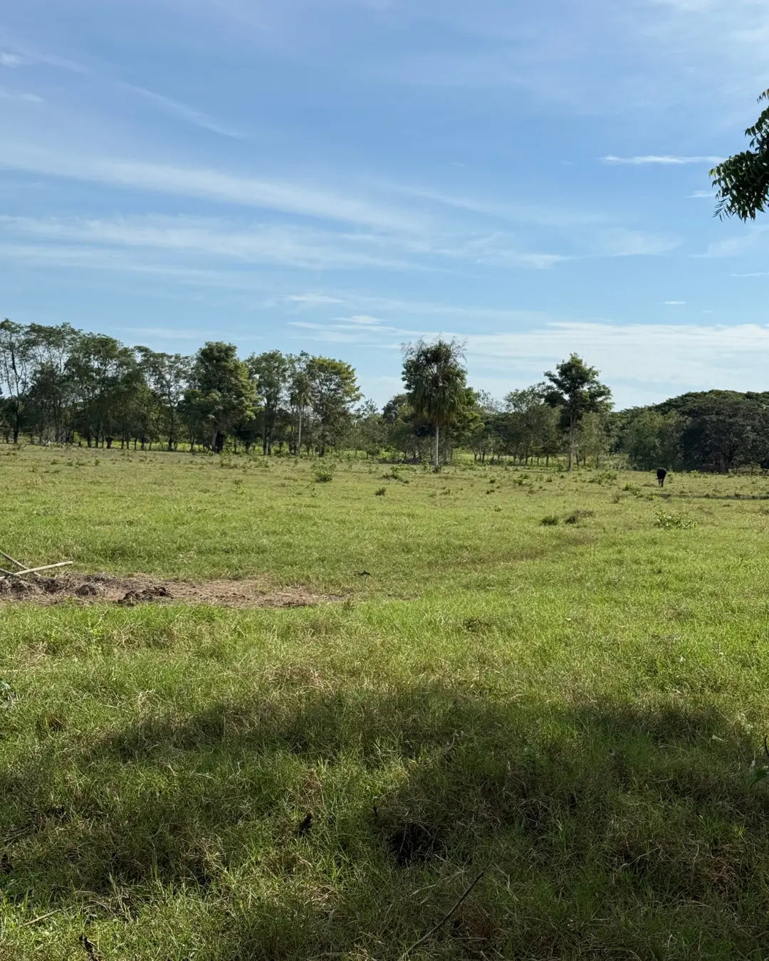 Finca de 168 hectareas en puerto escondido