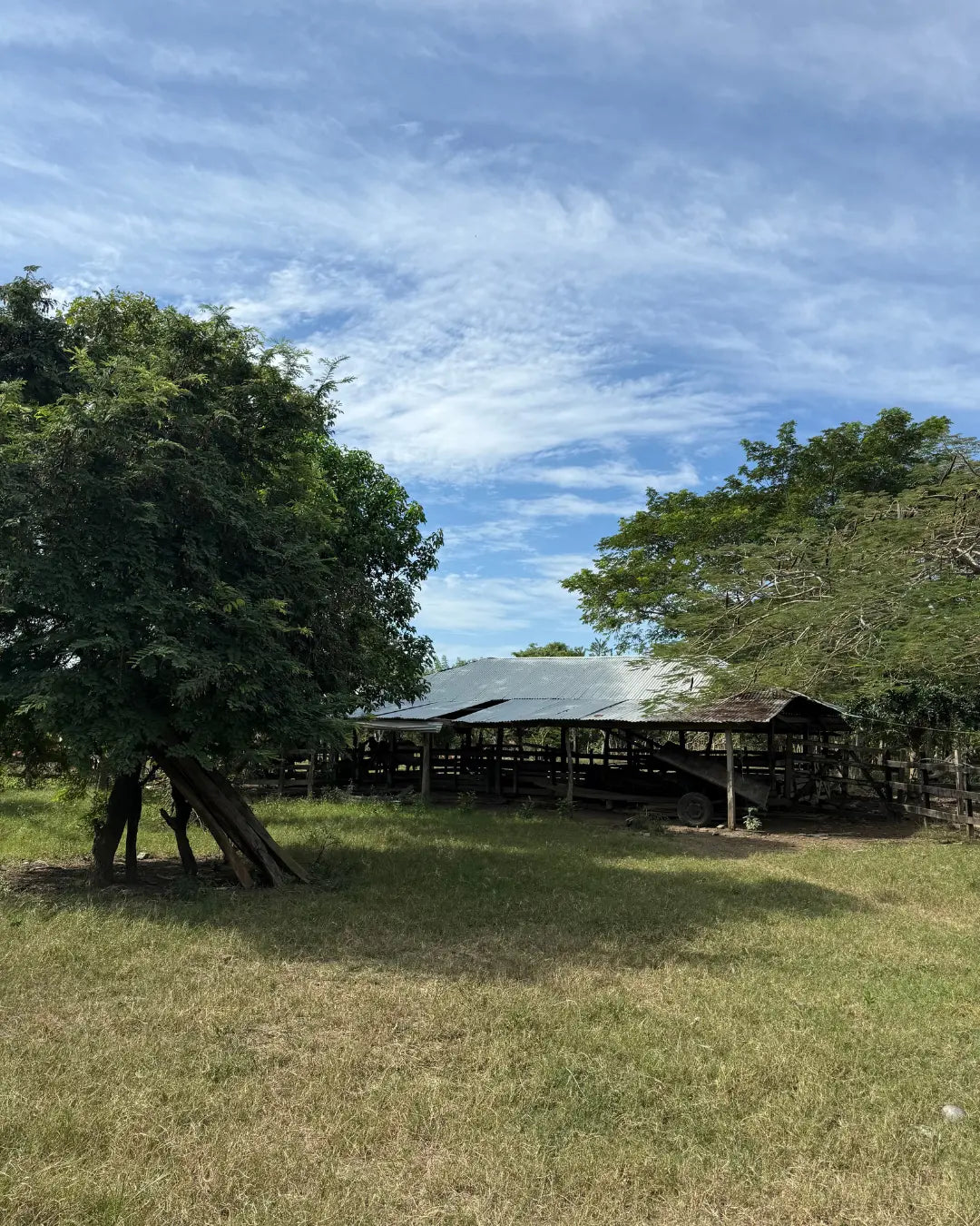 Finca de 168 hectareas en puerto escondido