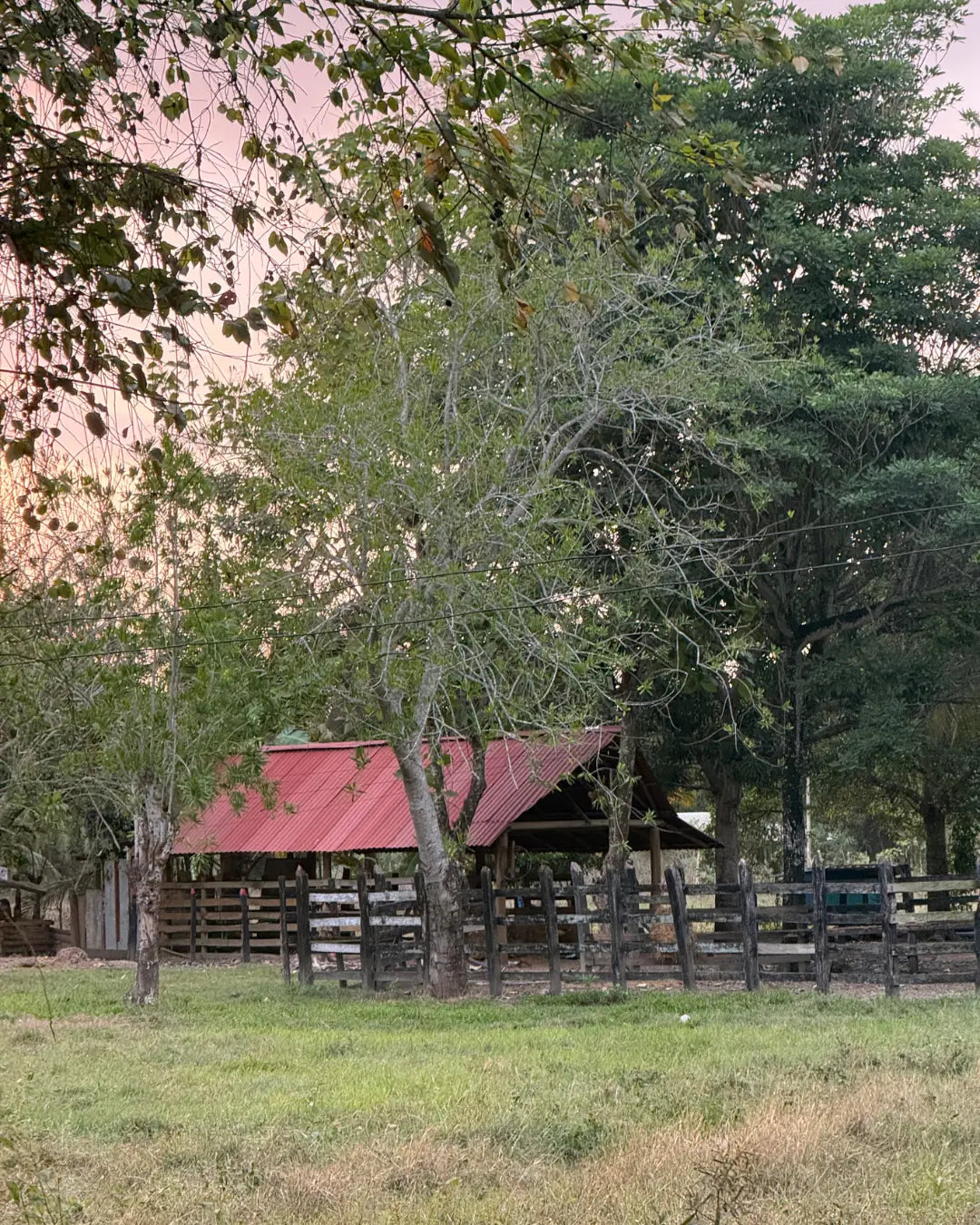 Finca en montería 1-7 hectareas a solo 5kms del casco urbano