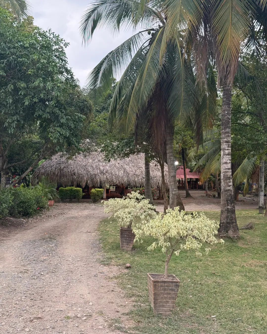 Finca en montería 1-7 hectareas a solo 5kms del casco urbano