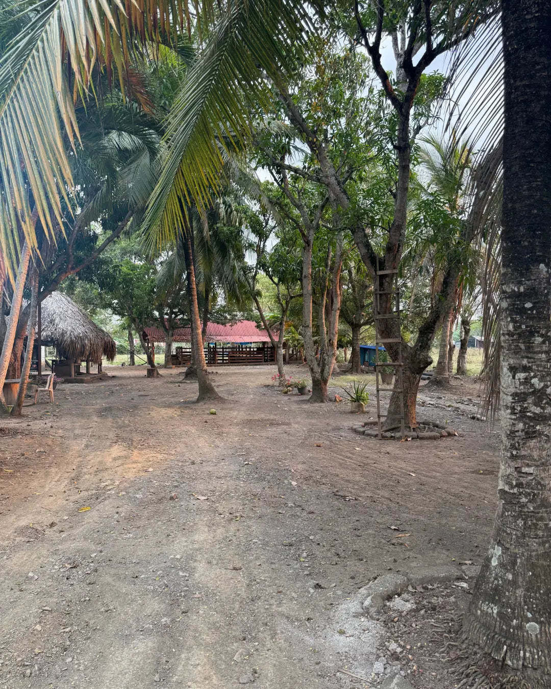Finca en montería 1-7 hectareas a solo 5kms del casco urbano