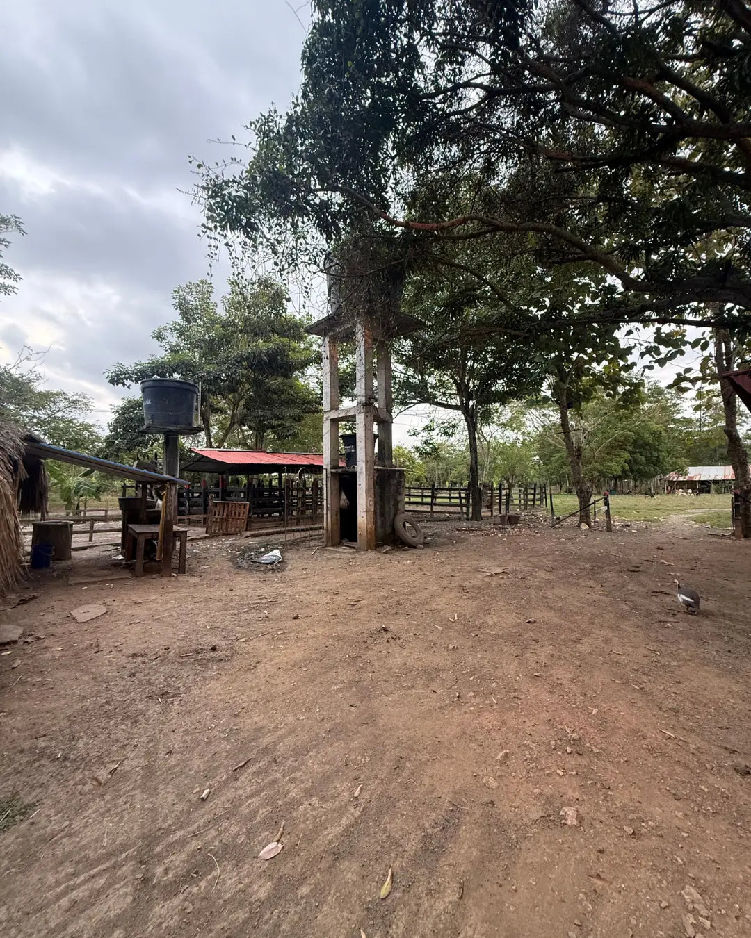 Finca en montería 1-7 hectareas a solo 5kms del casco urbano