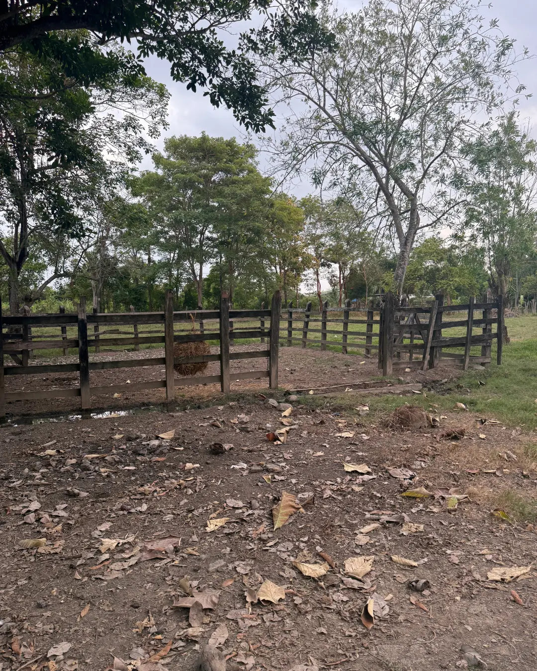 Finca en montería 1-7 hectareas a solo 5kms del casco urbano