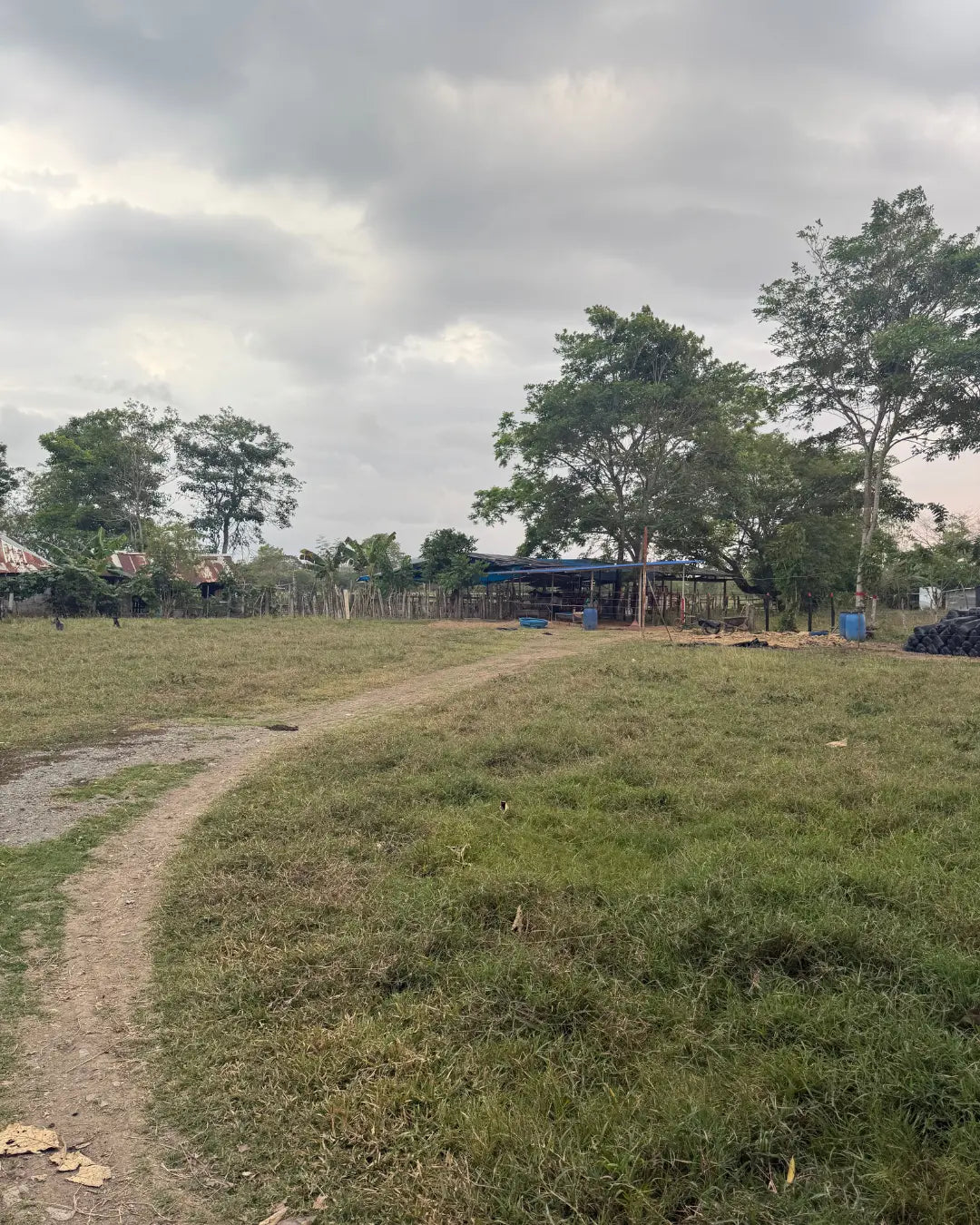 Finca en montería 1-7 hectareas a solo 5kms del casco urbano