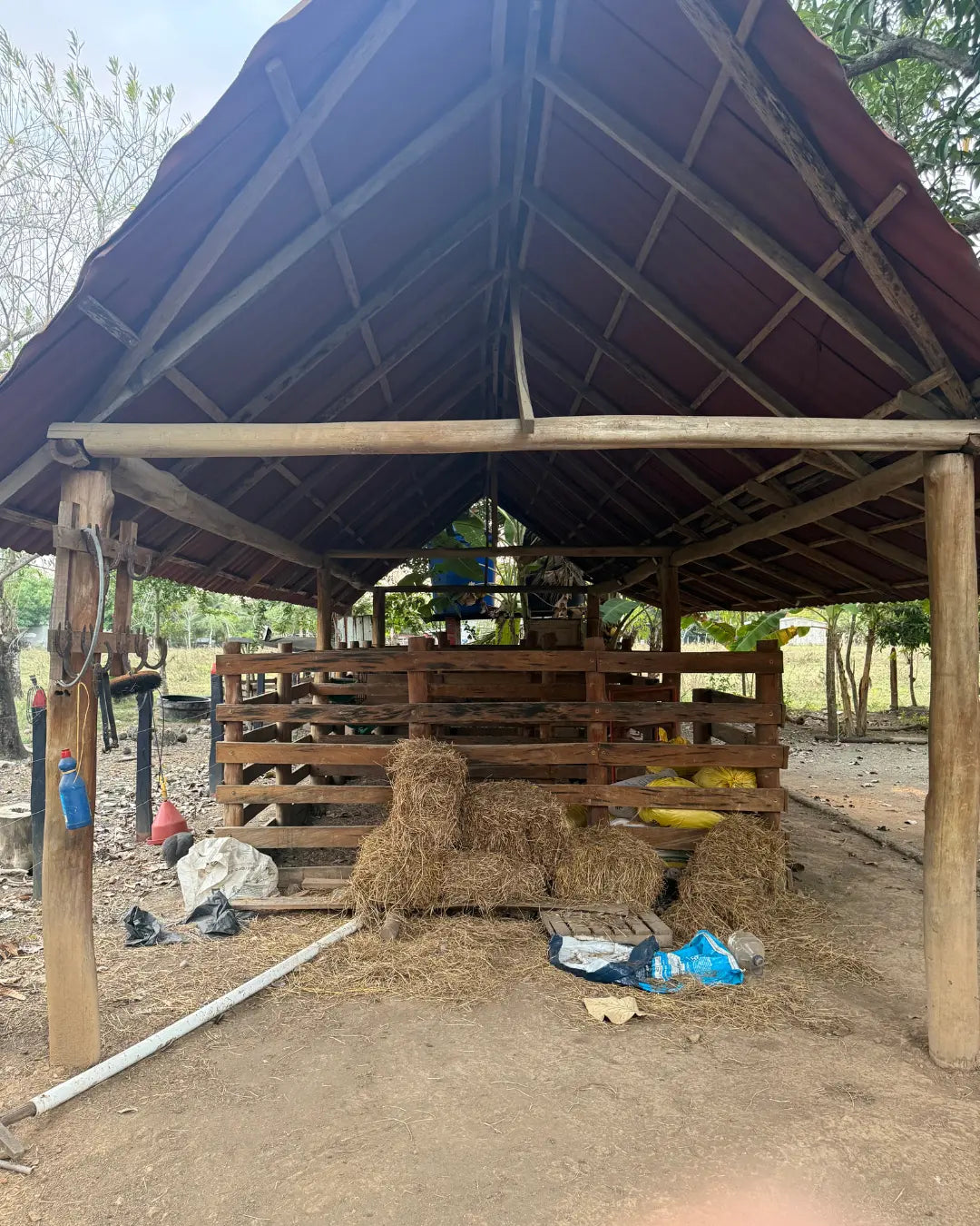 Finca en montería 1-7 hectareas a solo 5kms del casco urbano