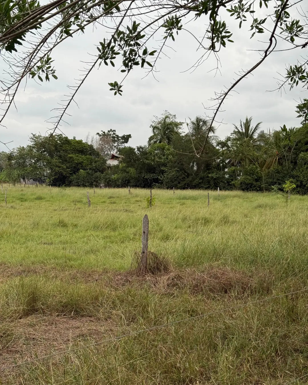 Finca en montería 1-7 hectareas a solo 5kms del casco urbano