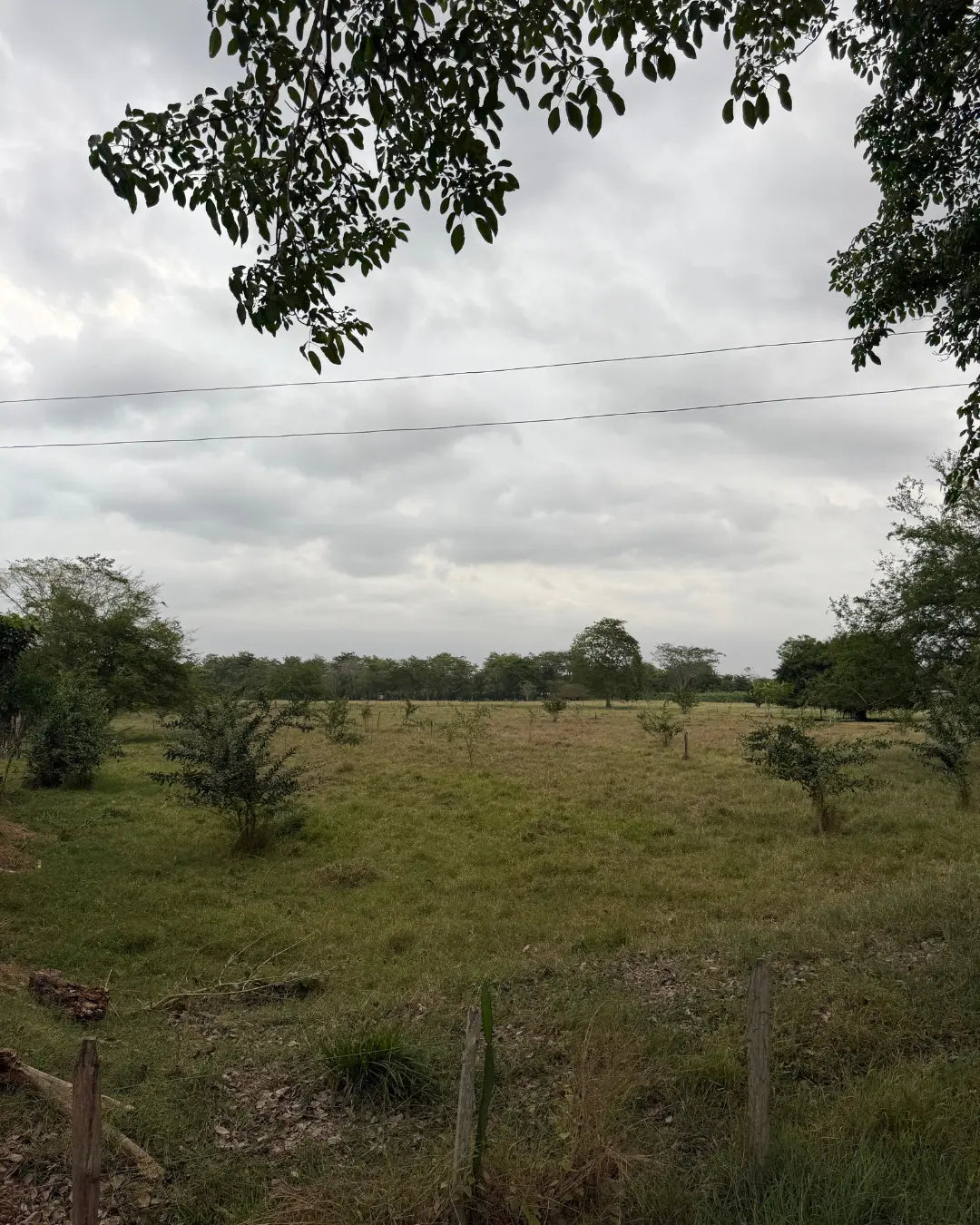 Finca en montería 1-7 hectareas a solo 5kms del casco urbano