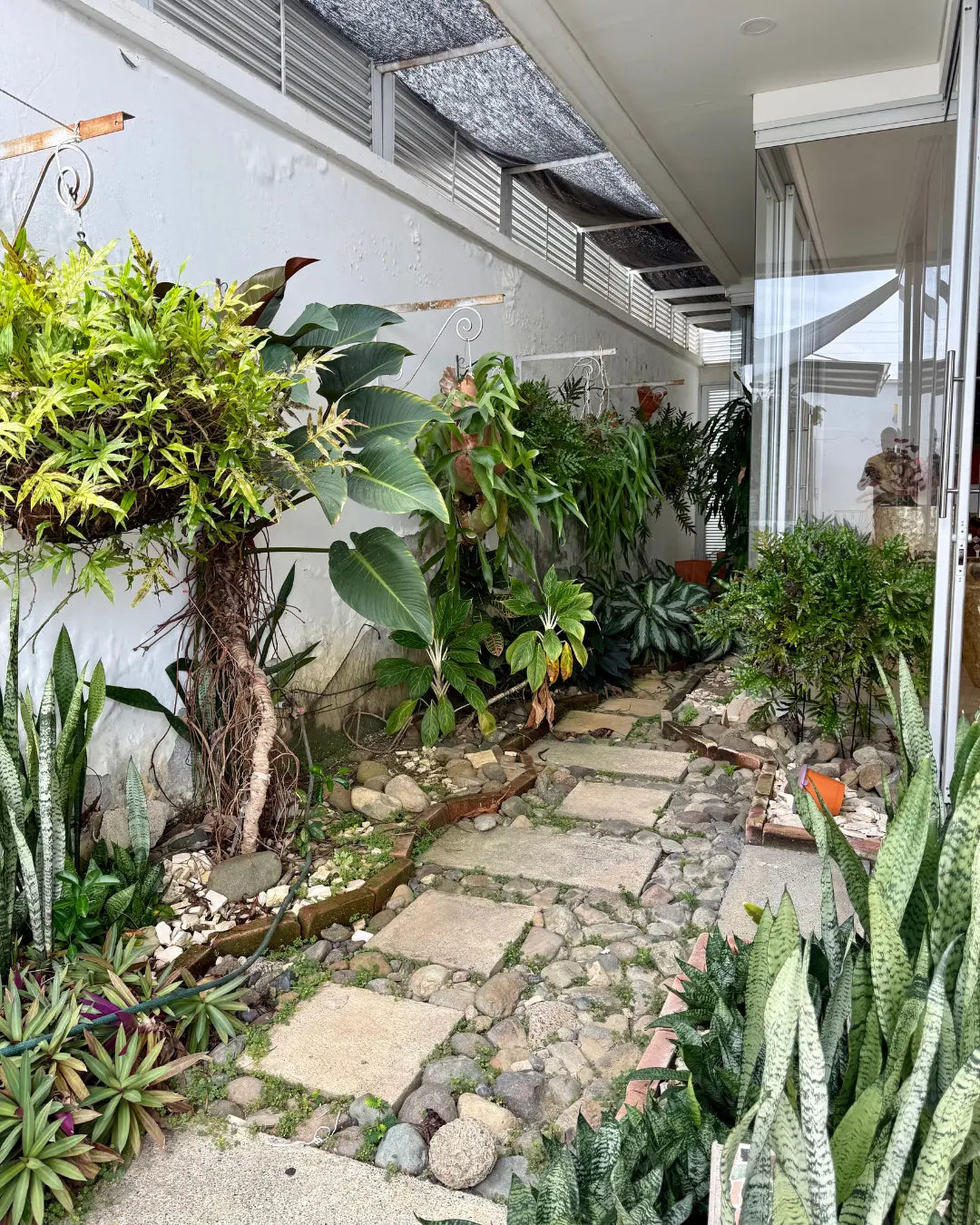 Casa de lujo 700mts2 en exclusivo conjunto cerrado con 4 habitaciones + servicio + estudio + piscina + bar + bbq