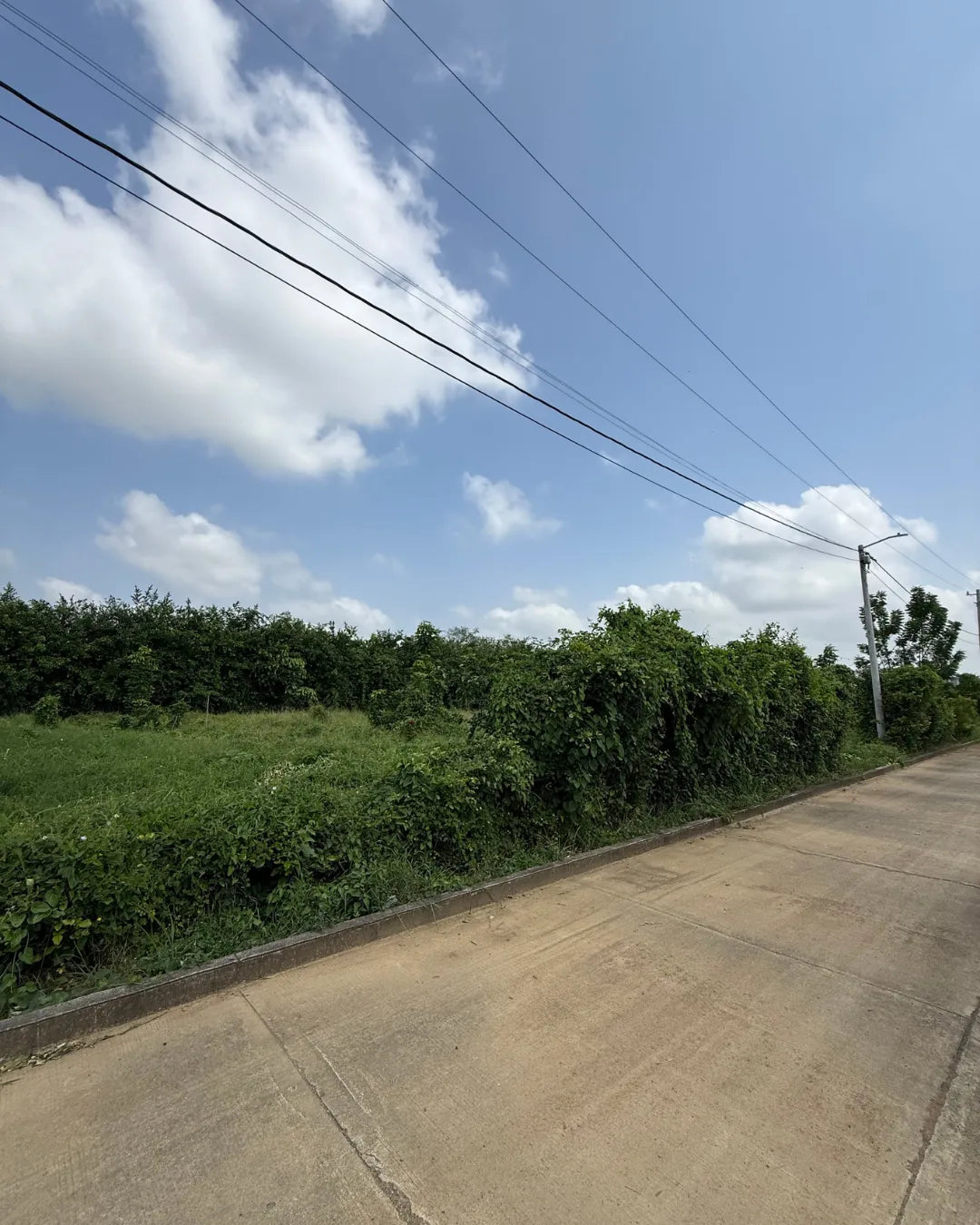 Lote de 1.000 en conjunto residencial campestre en el sabanal facilidad de pago